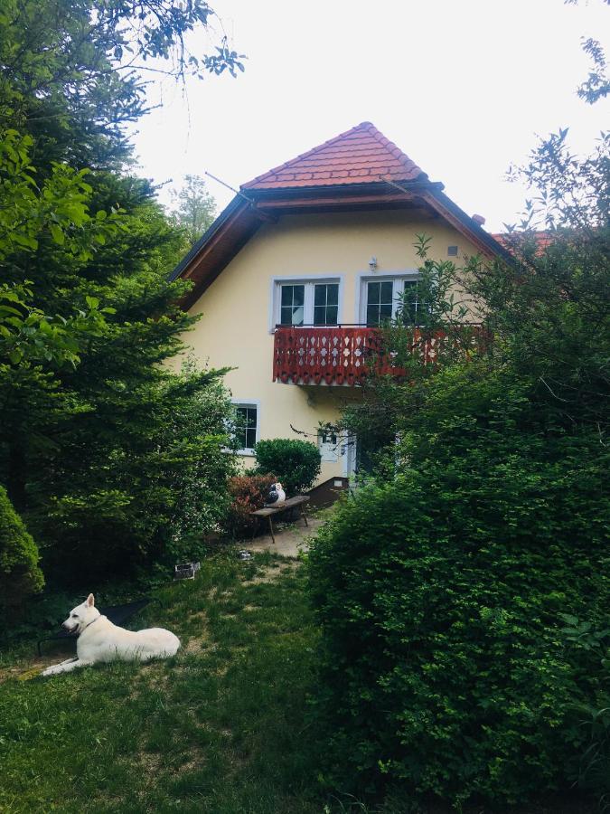 Apartment Nicehead Spacious Nest Between Maribor And Celje Loce pri Poljcanah