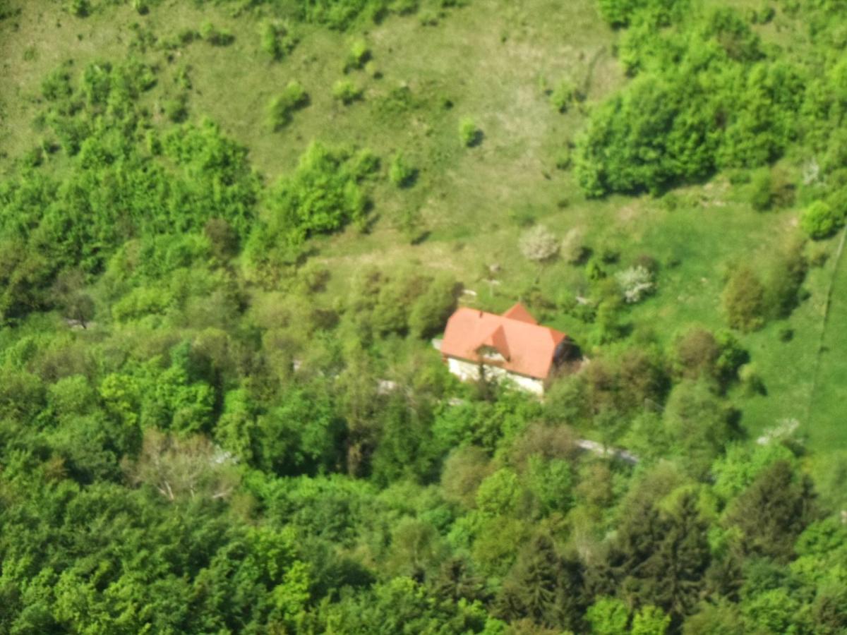 Appartement Nicehead View Vacation