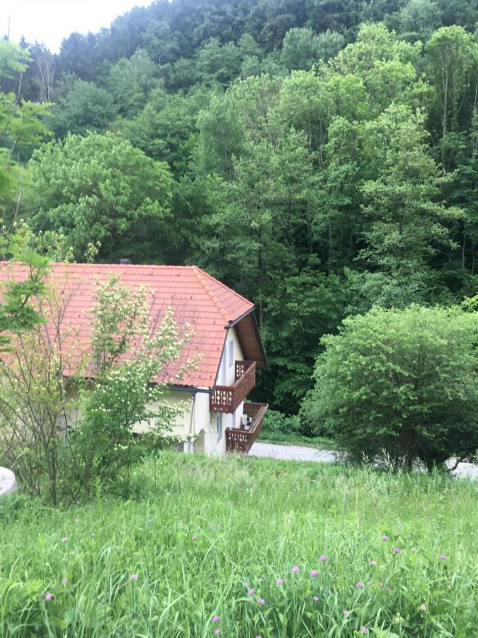 Apartment Nicehead Spacious Nest Between Maribor And Celje